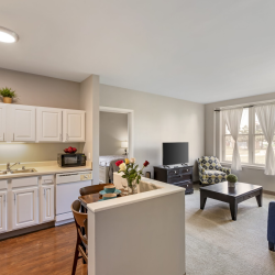 Comfortable Apartment Living