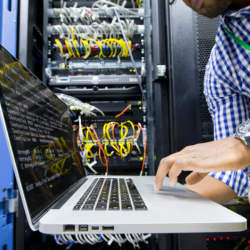 Web Hosting