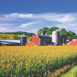 Farm and Ranch Properties