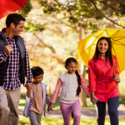 Term Life Insurance