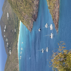 Project Expedition: Seamless Transfers & Curated Shore Excursions