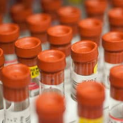 Fund Blood Research