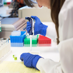 Laboratory Testing