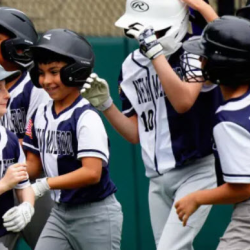 Little League Baseball Programs
