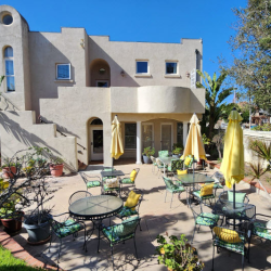 Outdoor Patio and Garden