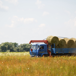 Pickup and Delivery of Oversized Items