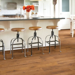 Laminate and Tile Flooring