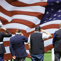 Veterans Law