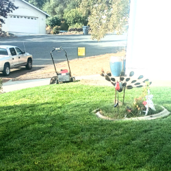 Garbage Removal