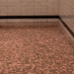 Tile, Carpet, & Flooring
