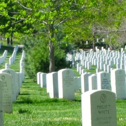 Veterans Headstones