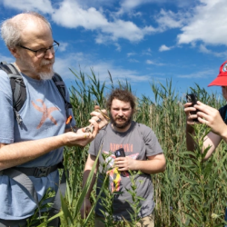 Kokomo Experience and You (KEY) Program