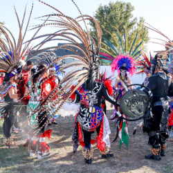 Community & Cultural Events