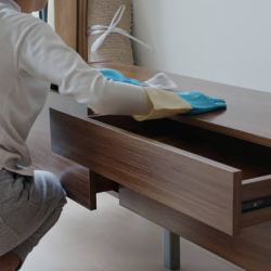 Furniture Cleaning