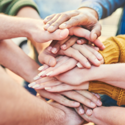 Community Health Workshops