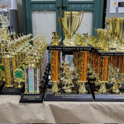 Custom Engraving, Awards & Personalized Gifts
