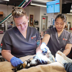 Emergency Care