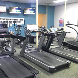 SPIN Classes