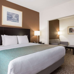 Guest Rooms & Suites