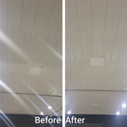 Roof Cleaning