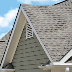 Gutter Cleaning
