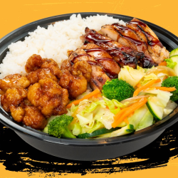TWO PROTEIN BOWL- LARGE SIZE ONLY