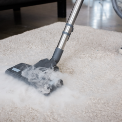 Odor Removal with Ozone