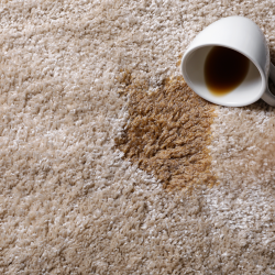Spot Removal & Stain Guard Protection