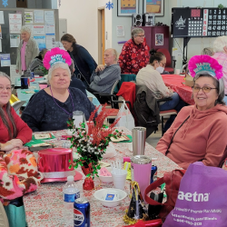 Recreational Senior Center Activities