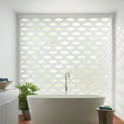 Roller & Solar Shades