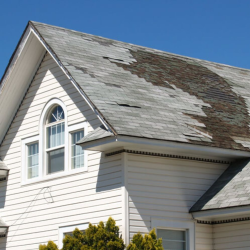 Storm Damage Remediation