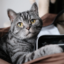Travel Paperwork