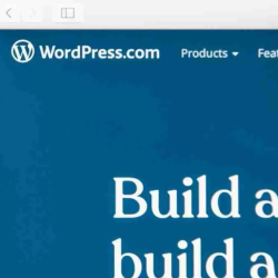WordPress Development