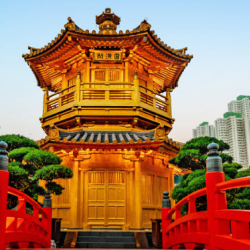 Travel Insurance