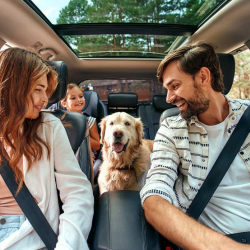 Auto Loans