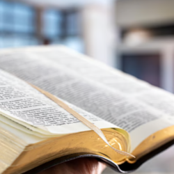 Sermons and Worship Services