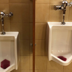 Toilet Repair & Installation