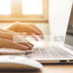 Business Name Search and Reservation
