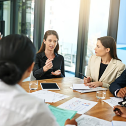 Government Consulting