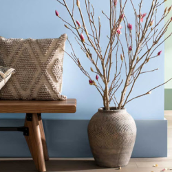 Paint Color Matching