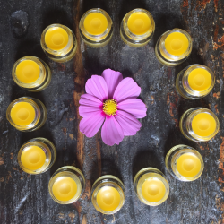 Botanica Lip Balm