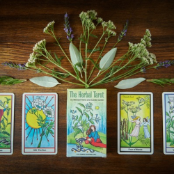 Tarot, Books, Games, and Cards