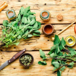 Herbs