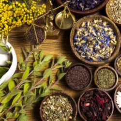 Herbal Minded Products