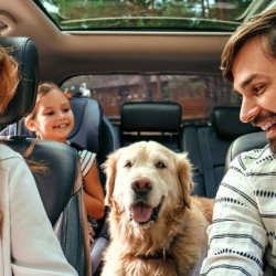 Auto Loans