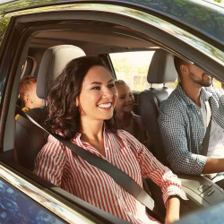 Auto Insurance