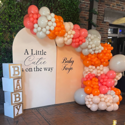 Custom Balloon Installations & Party Decor