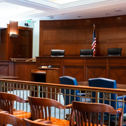 Litigation