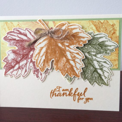 Thank You Cards
