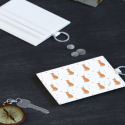 The Curator's Cut Gift Line